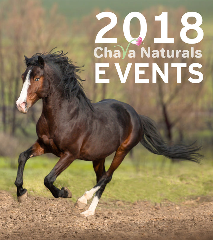 Upcoming Chava Equine and Horse Assisted Education Events