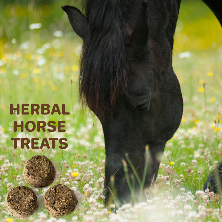 Herbal Horse Treat Recipe – No Baking Required!