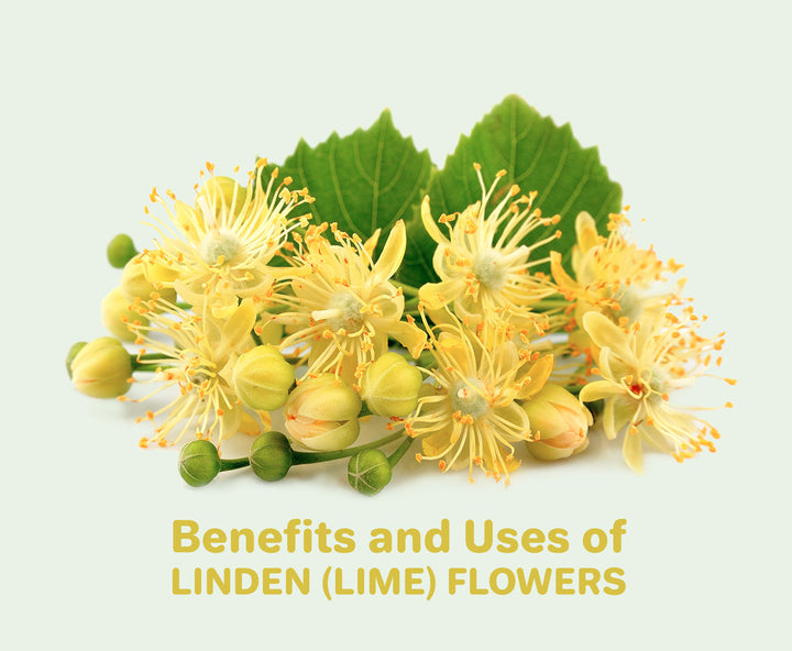 Linden (Lime) - Benefits and Uses