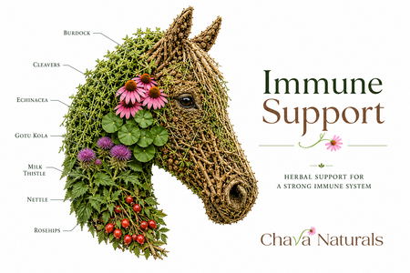 Immune Support for Horses