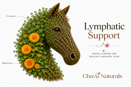 Lymphatic Support Herbs for Horses - Cleavers & Marigold