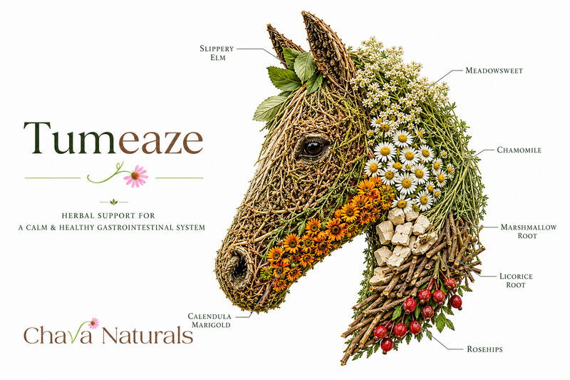 TumEaze™ Herb Mix for Horses