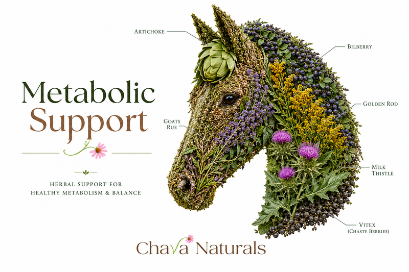 Metobolic Support Herb Mix for Horses