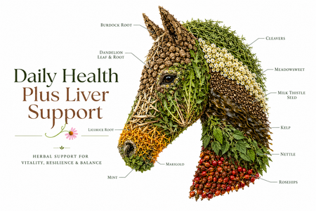 Daily Health plus Liver Support for Horses