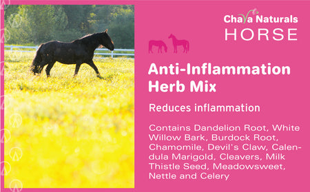 Anti-Inflammation Herb Mix for Horses