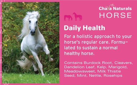 Daily Health for Horses