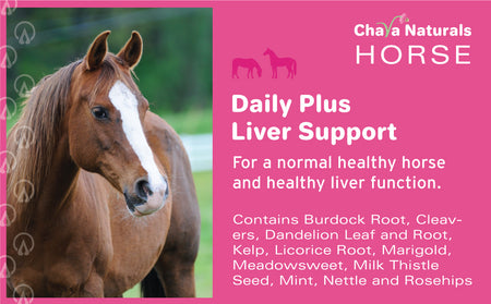 Daily Health plus Liver Support for Horses