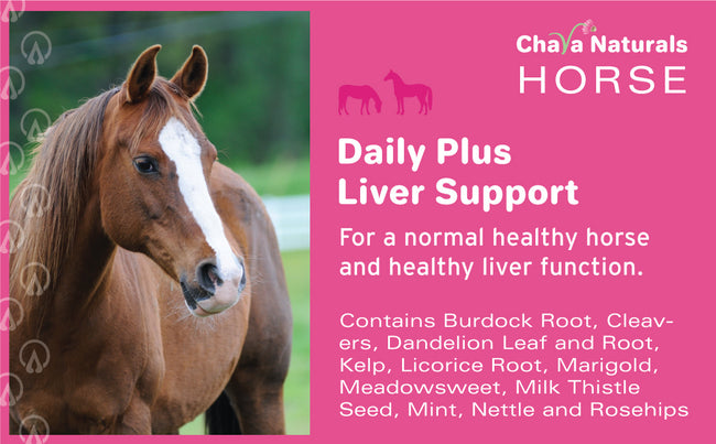 Daily Health plus Liver Support for Horses