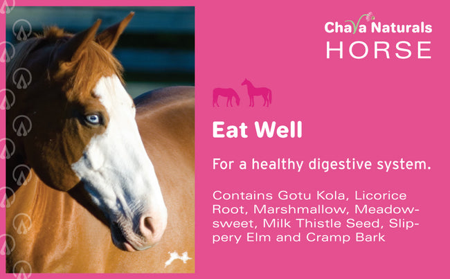 Eat Well for Horses