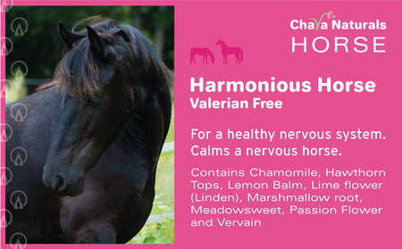 Harmonious VF for Horses