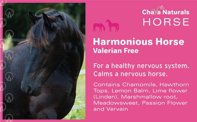 Harmonious VF for Horses