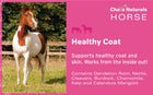 Healthy Coat for Horses