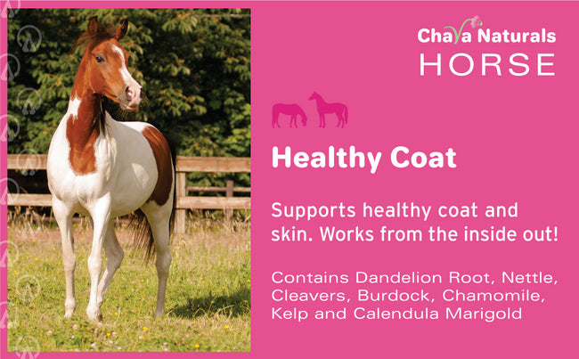 Healthy Coat for Horses