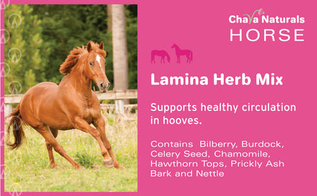Lamina for Horses