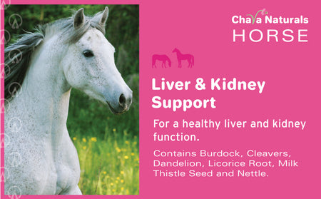 Liver and Kidney Support for Horses (Milk Thistle Seed Mix)