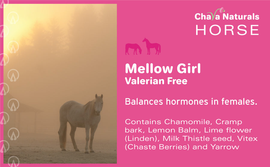 Mellow Girl (Valerian Free)