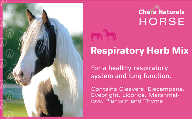Respiratory Herb Mix for Horses