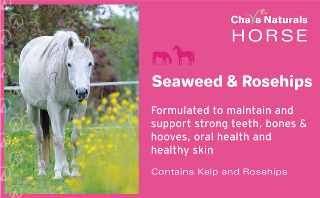 Seaweed and Rosehips