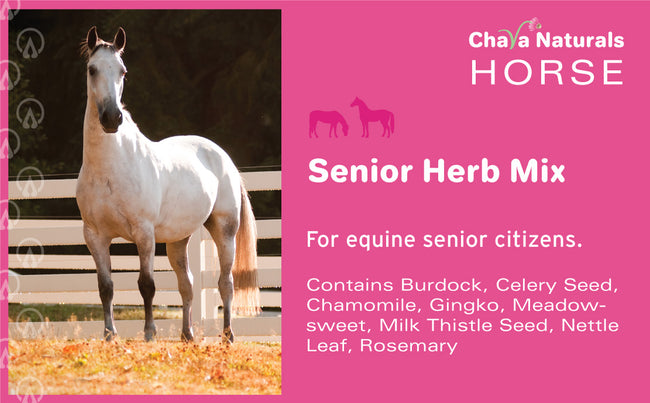 Senior for Horses