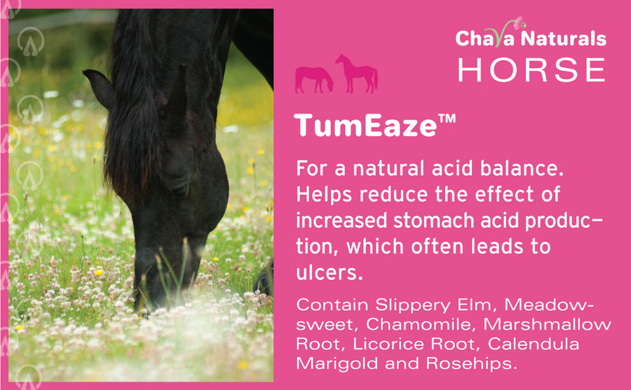 TumEaze™ Herb Mix for Horses
