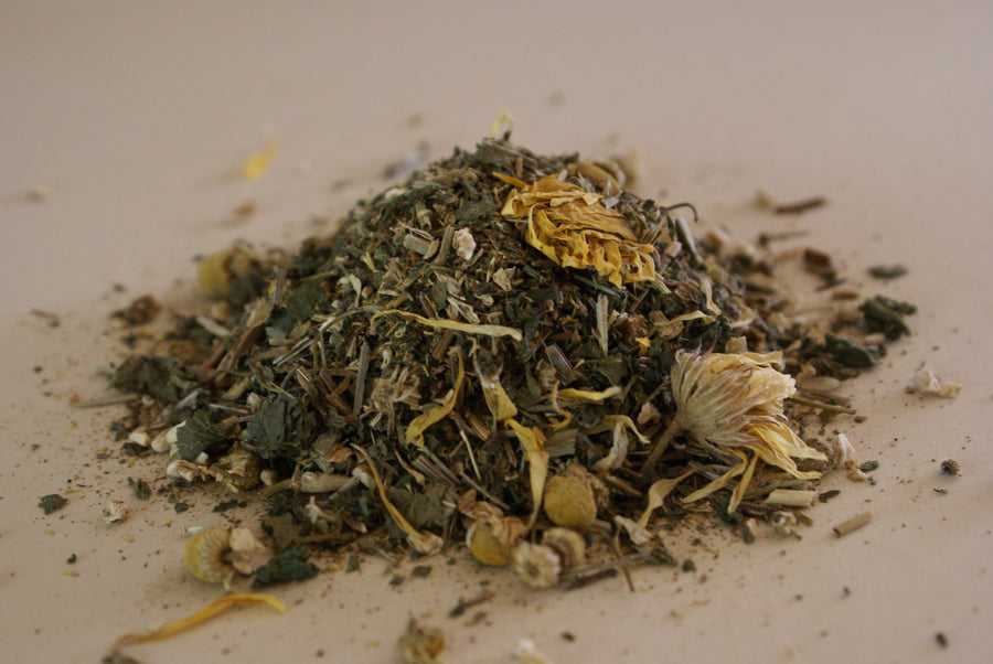 Healthy Coat for Horses