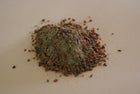 Seaweed and Rosehips